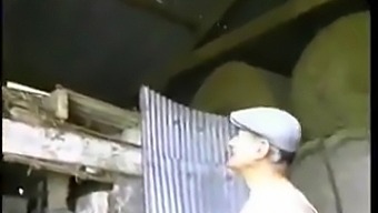 एक शहर की लड़की की एक बुजुर्ग किसान और उसकी पत्नी के साथ जंगली मुठभेड़