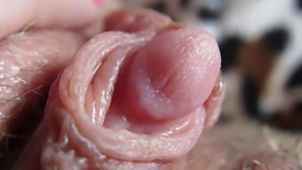 Intense Close-Up Of My Throbbing Clit