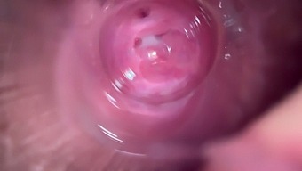 Close-Up View Of A Tight Teen'S Wet And Creamy Pussy